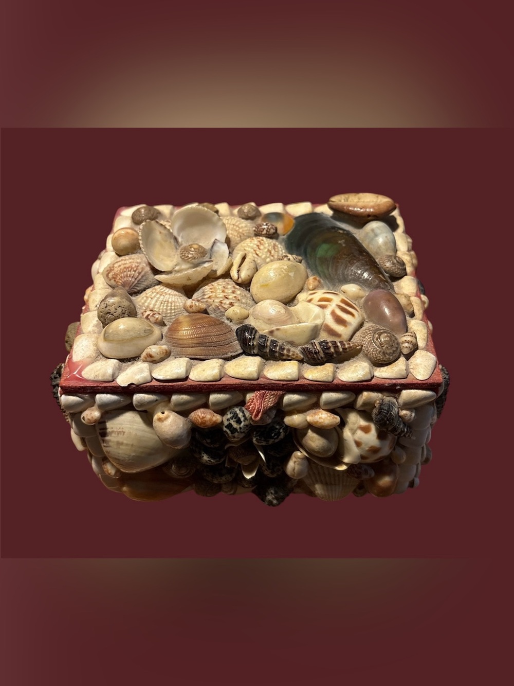 Seashell Kitsch Trinket Box – Natural Shell Mosaic 🐚